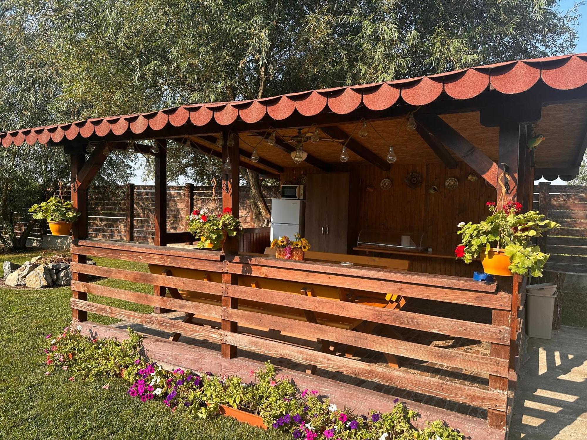 Casa Carp Calarasi Hotel Exterior photo
